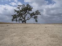 Sand Dunes in California: Bathed in Daylight