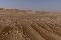 a lone tree in the middle of the desert against the background of large sand dunes with dirt