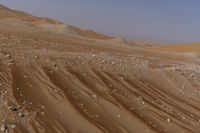 a lone tree in the middle of the desert against the background of large sand dunes with dirt