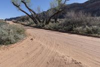 Sand Dunes in the Desert of Utah: Under a Clear Sky