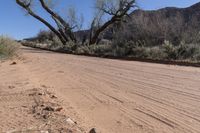 Sand Dunes in the Desert of Utah: Under a Clear Sky