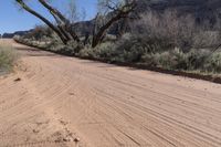 Sand Dunes in the Desert of Utah: Under a Clear Sky