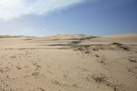 a sandy area with small plants and sand in the middle of it's dunes