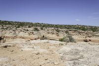 a landscape of rocks, trees, and grass with a dirt trail that winds up to the canyon