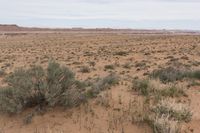 Sandstone Landscape in Utah, USA