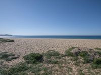 a sandy beach with water in the distance and a lone blue sky overhead and a green field with vegetation and grass