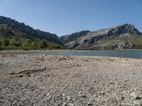 Sandy Beach by a Clear Lake