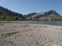 Sandy Beach by a Clear Lake