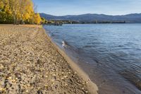 a sandy beach next to a lake under a bright sun filled sky in the distance