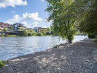 a sandy beach with trees in the background next to some water and a city building