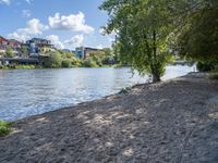 a sandy beach with trees in the background next to some water and a city building