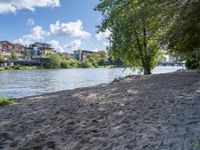 a sandy beach with trees in the background next to some water and a city building