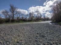 Sandy Beach: Water and Vegetation