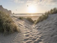 there is a trail on this sand dune near the ocean at sunset, leading to the beach with some grass and mountains in the distance