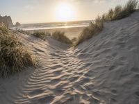 there is a trail on this sand dune near the ocean at sunset, leading to the beach with some grass and mountains in the distance