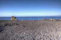 the sandy ground on the shore of a lake near the ocean with some trees and rocks