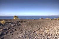 the sandy ground on the shore of a lake near the ocean with some trees and rocks