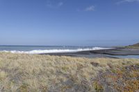 Sandy Shores and Open Space Beach