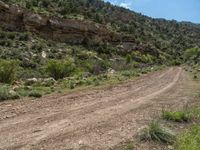 Sandy Track in the Magnificent Mountains of Utah