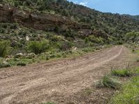 Sandy Track in the Magnificent Mountains of Utah