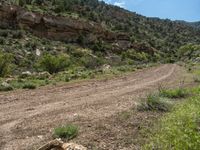 Sandy Track in the Magnificent Mountains of Utah