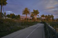 a road lined with palm trees leading to houses with pink and blue skies above the hills