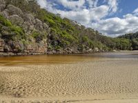 a sandy beach in front of some lush green trees on the hillside near a river