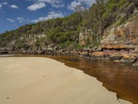 brown water flows into a beach on a clear day near the cliff formation below the tree line