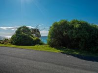 empty roadway by the beach with green grass and trees near by on hill at top