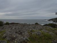 a view of a grassy hill with some rocks and a large body of water on the other side