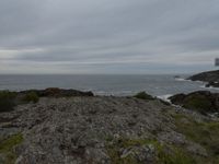 a view of a grassy hill with some rocks and a large body of water on the other side