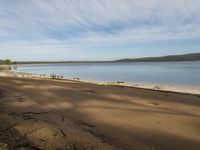 the view of water from an empty beach near a forest area and hill range in the distance