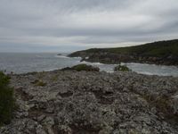 a person on a cliff in front of the ocean with rocks, trees and grass