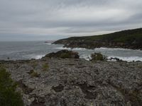 a person on a cliff in front of the ocean with rocks, trees and grass