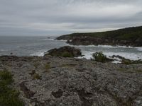 a person on a cliff in front of the ocean with rocks, trees and grass