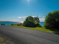 a road beside the sea in front of a lush green field with shrubs growing along it