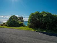 a road beside the sea in front of a lush green field with shrubs growing along it