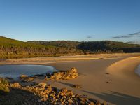 a beautiful, secluded beach and sand dunes with lots of vegetation on the side of it