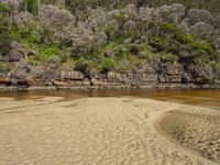 a sandy beach next to the water in front of a forested area with rocky cliffs