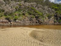 a sandy beach next to the water in front of a forested area with rocky cliffs