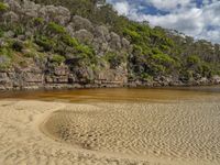 a sandy beach next to the water in front of a forested area with rocky cliffs