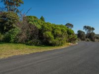 the road is empty in front of some green bushes and trees as a man skates down it