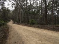 Sapphire Coast on a Gloomy Day in Australia