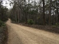 Sapphire Coast on a Gloomy Day in Australia