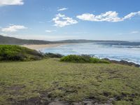 Sapphire Coast Lake Landscape with Abundant Vegetation