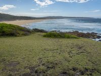 Sapphire Coast Lake Landscape with Abundant Vegetation