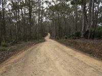 Sapphire Coast Landscape: Exploring Bournda National Park