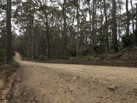 Sapphire Coast Landscape: Exploring Bournda National Park