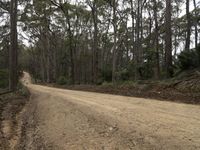 Sapphire Coast Landscape: Exploring Bournda National Park