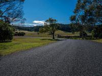 a gravel road leads through a green pasture and a fence, trees and a blue sky